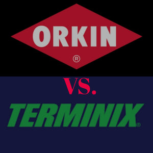 Pest control exterminating companies Orkin and Terminix