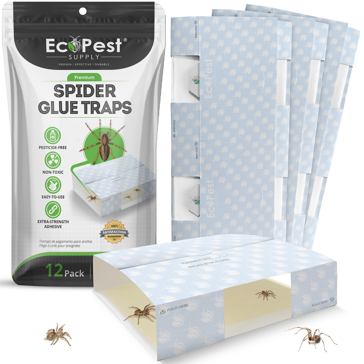 Announcing the Spider Glue Traps!