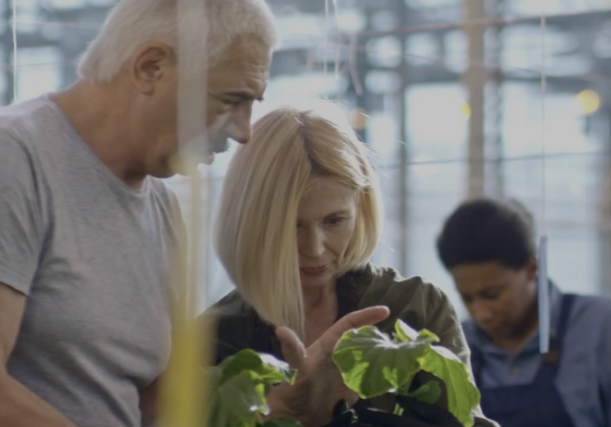 How Do Sticky Fly Traps Work? Yellow Color Attractant and Adhesive Fly