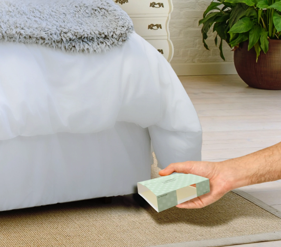 Where to Put Glue Traps for Bed Bugs?