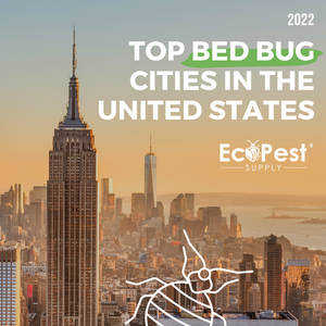 Top bed bug cities in 2022