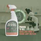 Boxelder Bug & Asian Lady Beetle Spray – Natural, Plant-Based Spray with Clove Oil for Indoor and Outdoor Treatment of Boxelder Bugs and Asian Lady Beetles