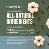 Spider Spray – Natural, Plant-Based Spider Spray with Clove Oil for Indoor and Outdoor Treatment of Spiders