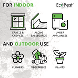 Crawling Insect Killer Dust, 1 lb | Natural Pumice Powder with Thyme and Geraniol for Indoor and Outdoor Pest Control