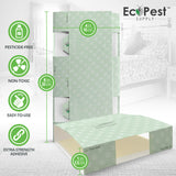 Buy 20 Pack Bed Bug Glue Traps
