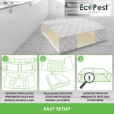 Pest Control Trap for Silverfish