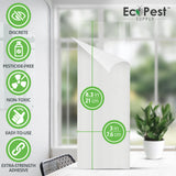 Transparent Sticky Fly Trap for Windows
