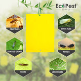Get Wide Sticky Fly Traps (Yellow)