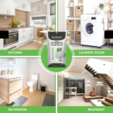 12 Pack - Pest Control Trap for Silverfish