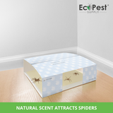 Spider Glue Traps – 12 Pack | Sticky Indoor Pest Control Trap for Spiders