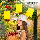 Get Yellow Wide Sticky Fly Traps EcoPest