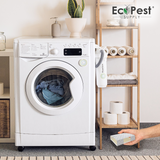 Silverfish Glue Traps – 12 Pack