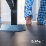 Bed Bug Monitor Trap Online