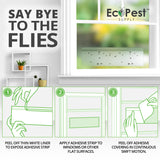 Transparent Sticky Fly Trap