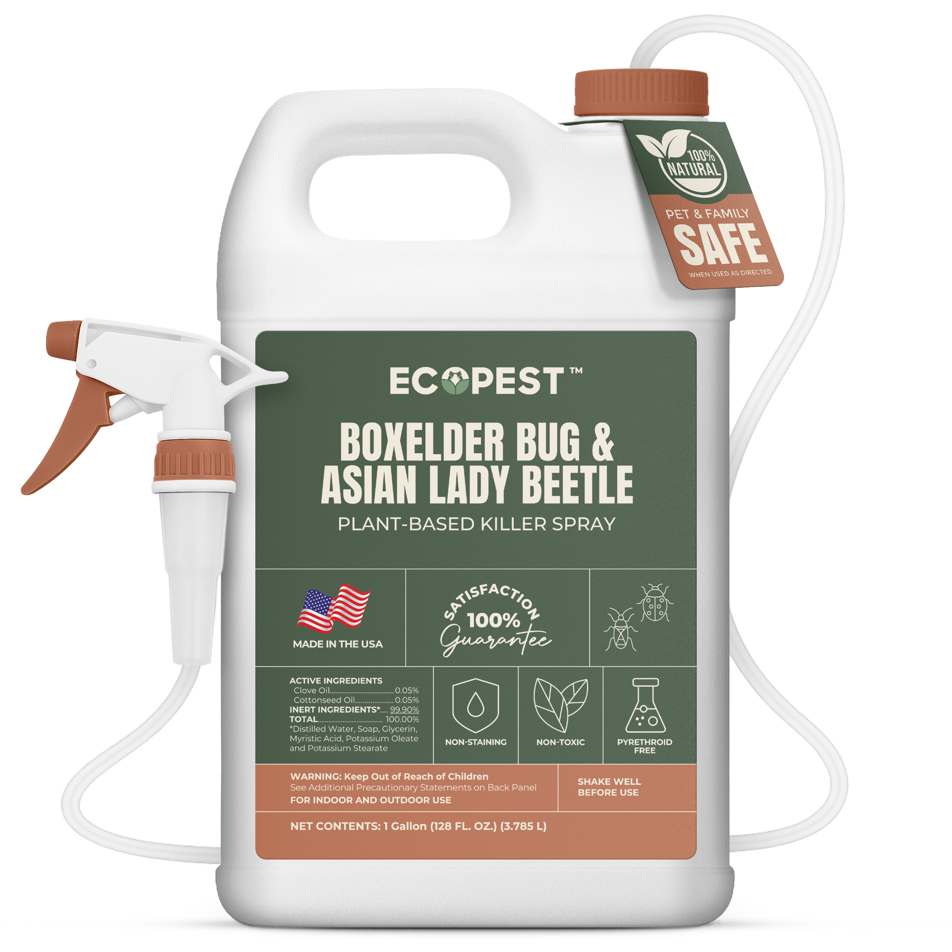 Boxelder Bug & Asian Lady Beetle Spray