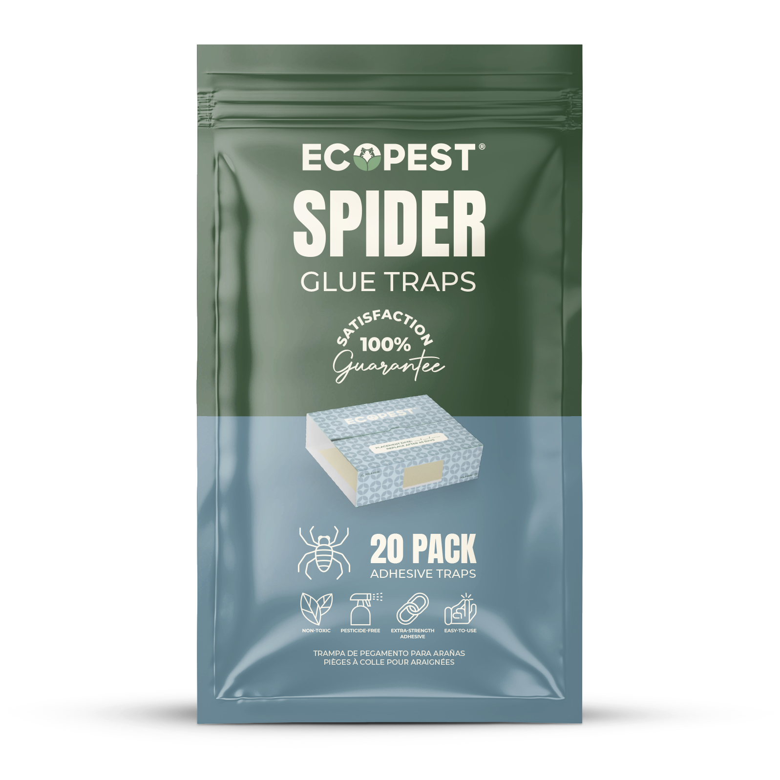 Spider Glue Traps