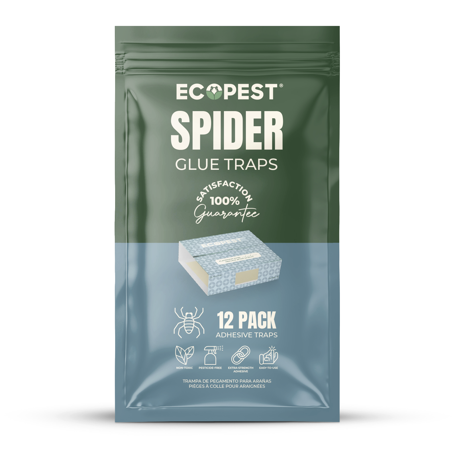 Spider Glue Traps