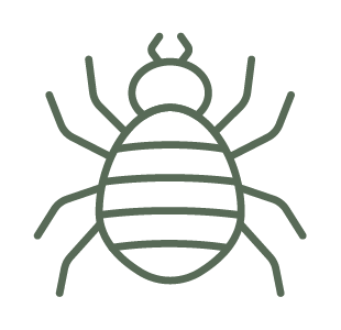 Mites