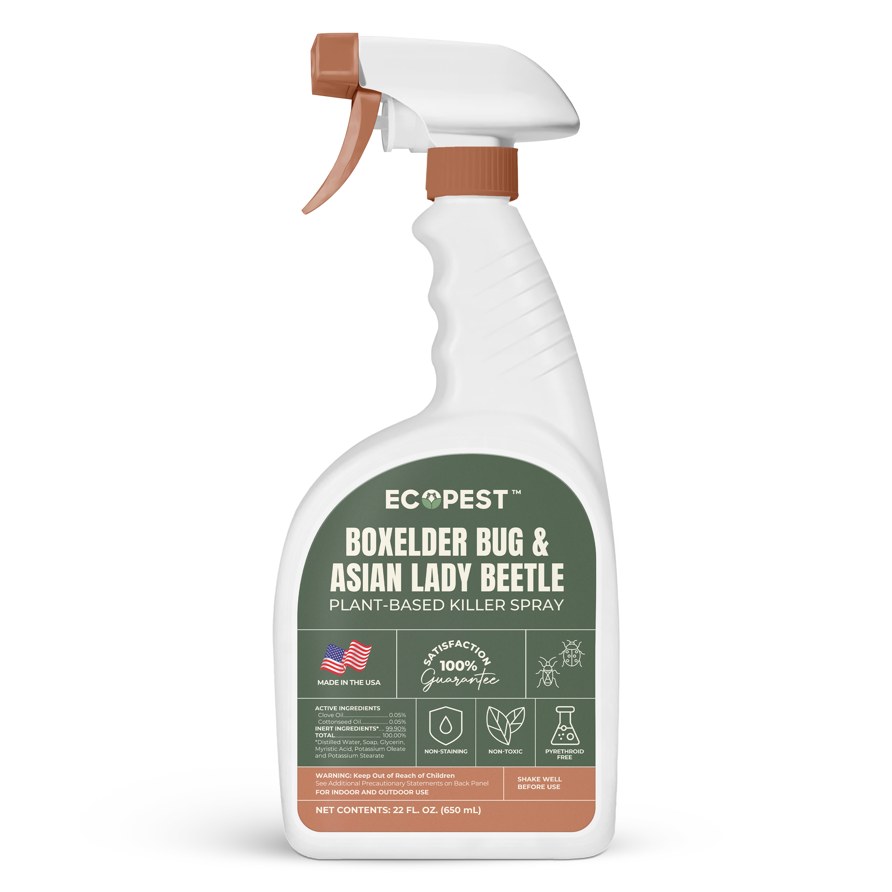 Boxelder Bug & Asian Lady Beetle Spray