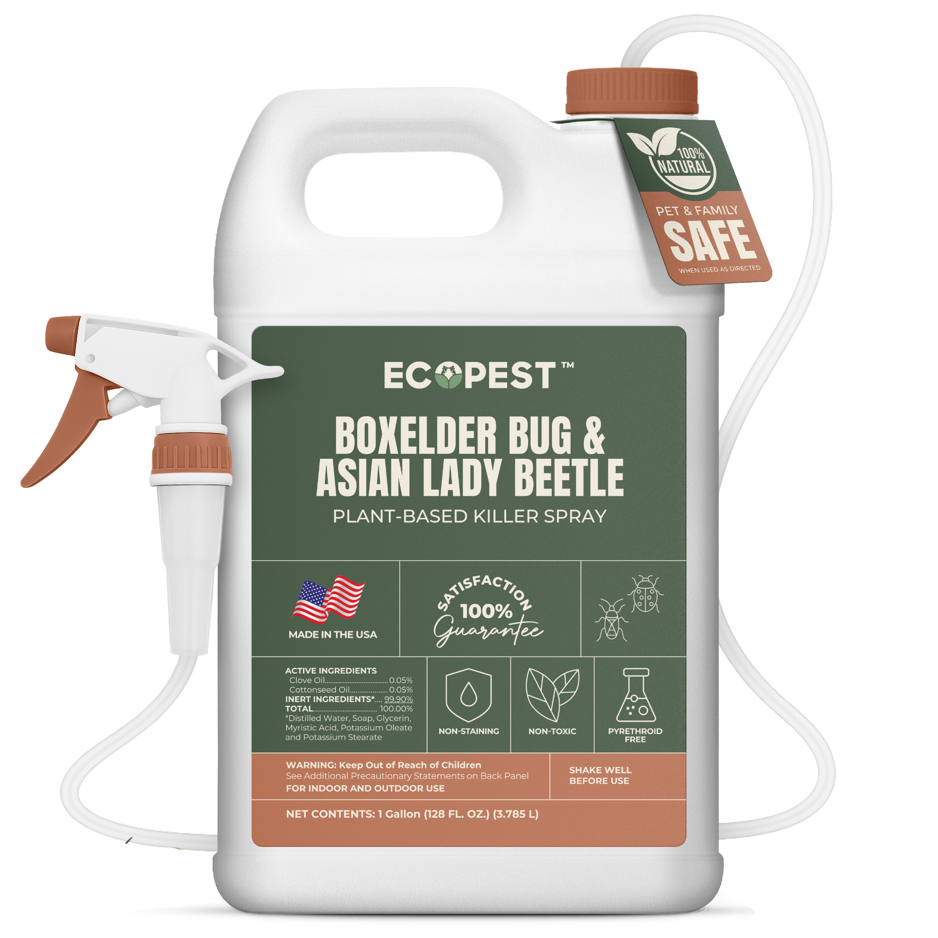 Boxelder Bug & Asian Lady Beetle Spray