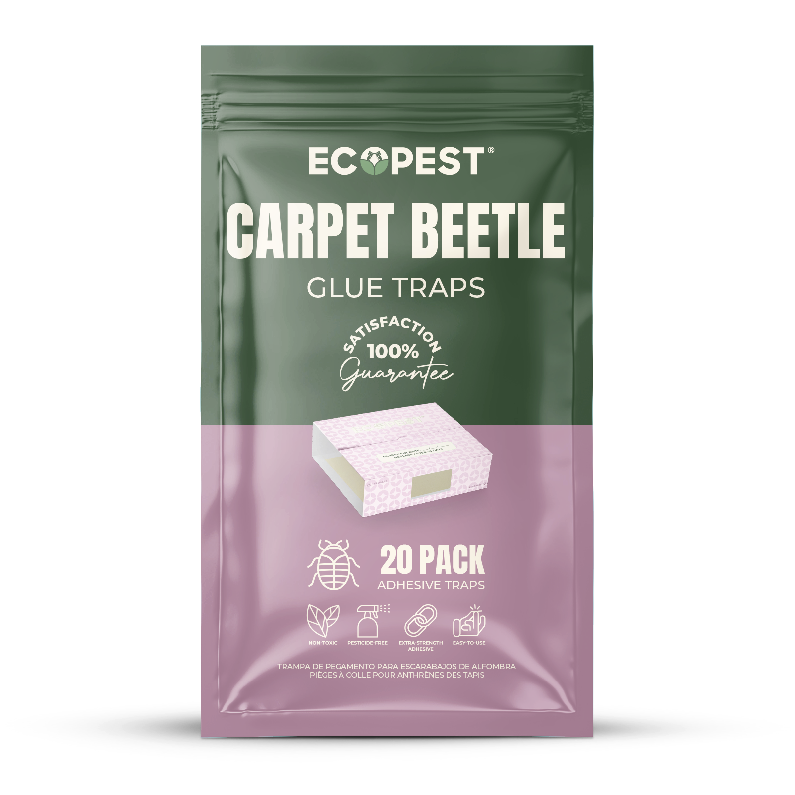 Carpet Beetle Glue Traps