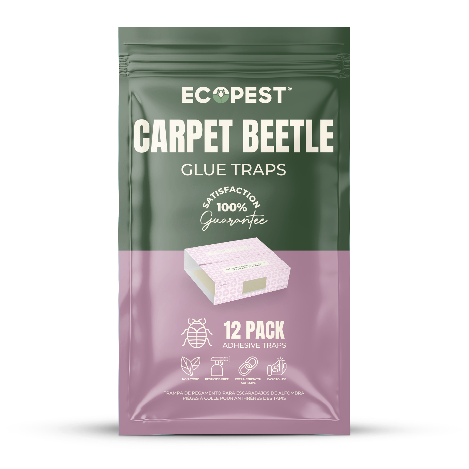Carpet Beetle Glue Traps