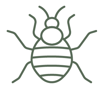 Fleas