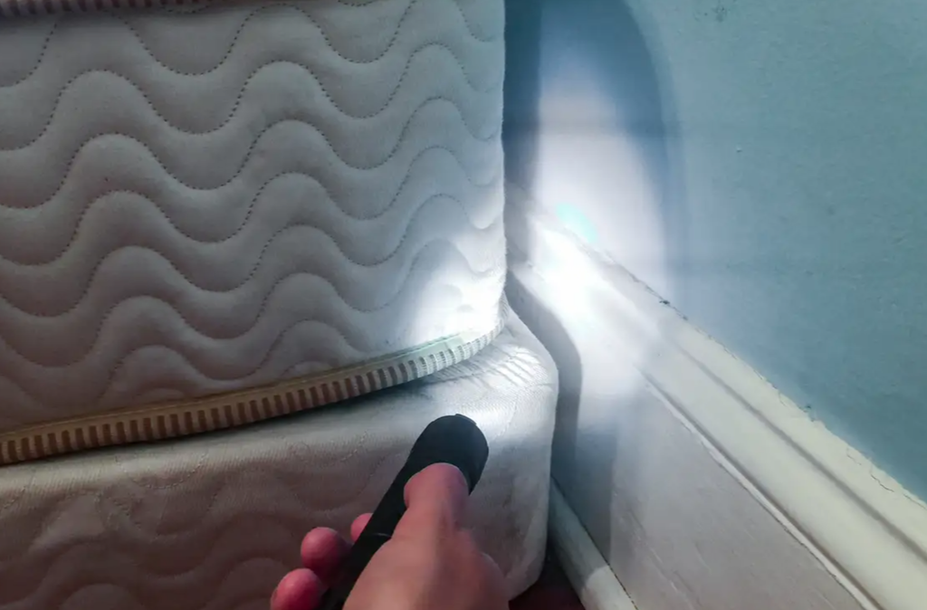 How Do You Tell if Your Mattress Has Bed Bugs?