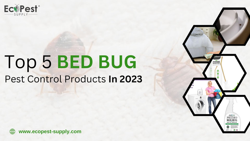 Best pest advice: bedbugs - pest control