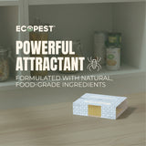 Spider Glue Traps – 12 Pack | Sticky Indoor Pest Control Trap for Spiders