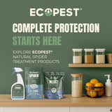 Spider Glue Traps – 12 Pack | Sticky Indoor Pest Control Trap for Spiders