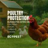 Mite Spray – Natural Killer for Dust, Bird, Spider, Scabies & Other Mites | Bedding & Furniture-Safe | Treatment for Chickens, Poultry, Dogs, Cats, Reptiles & Other Pets | Indoor & Outdoor