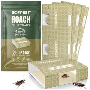 Roach Glue Traps – 12 Pack | Sticky Indoor Pest Control Trap for Cockroaches