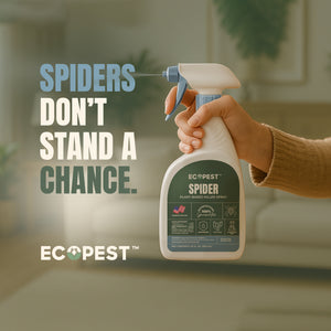 Spider Spray, 22 oz. | Natural, Plant-Based Spider Spray with Clove Oil for Indoor and Outdoor Treatment of Spiders