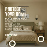 Bed Bug Glue Traps – 20 Pack | Sticky Indoor Pest Control Trap for Bed Bugs