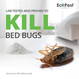 Bed Bug Killer Dust, 1 lb | Natural Pumice Powder with Thyme and Geraniol for Indoor Treatment of Bed Bugs