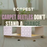 Carpet Beetle Glue Traps – 20 Pack | Sticky Indoor Pest Control Trap for Carpet Beetles