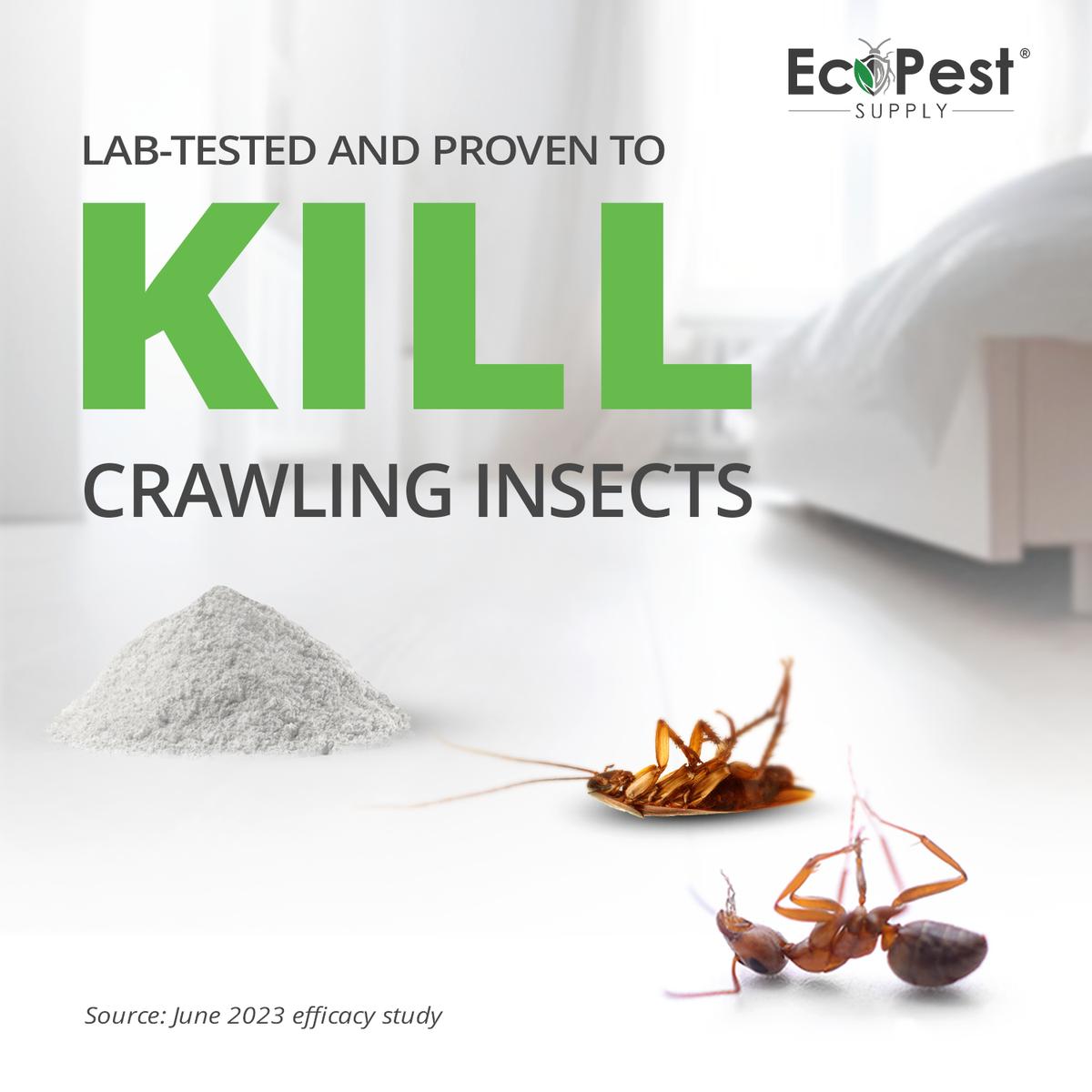 Crawling Insect Killer Dust, 1 lb | Natural Pumice Powder with Thyme a