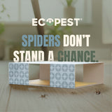Spider Glue Traps – 12 Pack | Sticky Indoor Pest Control Trap for Spiders