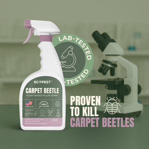 Carpet Beetle Spray – Natural, Plant-Based Stink Bug Spray with Clove Oil for Indoor and Outdoor Treatment of Carpet Beetles Bugs