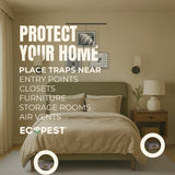 Carpet Beetle Glue Traps – 20 Pack | Sticky Indoor Pest Control Trap for Carpet Beetles