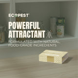 Roach Glue Traps – 20 Pack | Sticky Indoor Pest Control Trap for Cockroaches