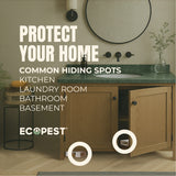 Silverfish Glue Traps – 12 Pack | Sticky Indoor Pest Control Trap for Silverfish