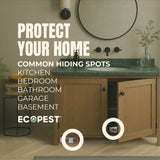 Spider Glue Traps – 12 Pack | Sticky Indoor Pest Control Trap for Spiders