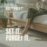 Carpet Beetle Glue Traps – 20 Pack | Sticky Indoor Pest Control Trap for Carpet Beetles