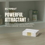 Silverfish Glue Traps – 12 Pack | Sticky Indoor Pest Control Trap for Silverfish