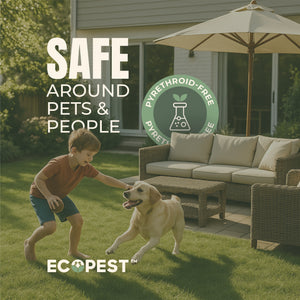 Mite Spray – Natural Killer for Dust, Bird, Spider, Scabies & Other Mites | Bedding & Furniture-Safe | Treatment for Chickens, Poultry, Dogs, Cats, Reptiles & Other Pets | Indoor & Outdoor