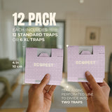 Carpet Beetle Glue Traps – 12 Pack | Sticky Indoor Pest Control Trap for Carpet Beetles