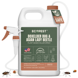Boxelder Bug & Asian Lady Beetle Spray – Natural, Plant-Based Spray with Clove Oil for Indoor and Outdoor Treatment of Boxelder Bugs and Asian Lady Beetles