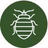BED BUGS